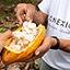 hand holding cacao icon