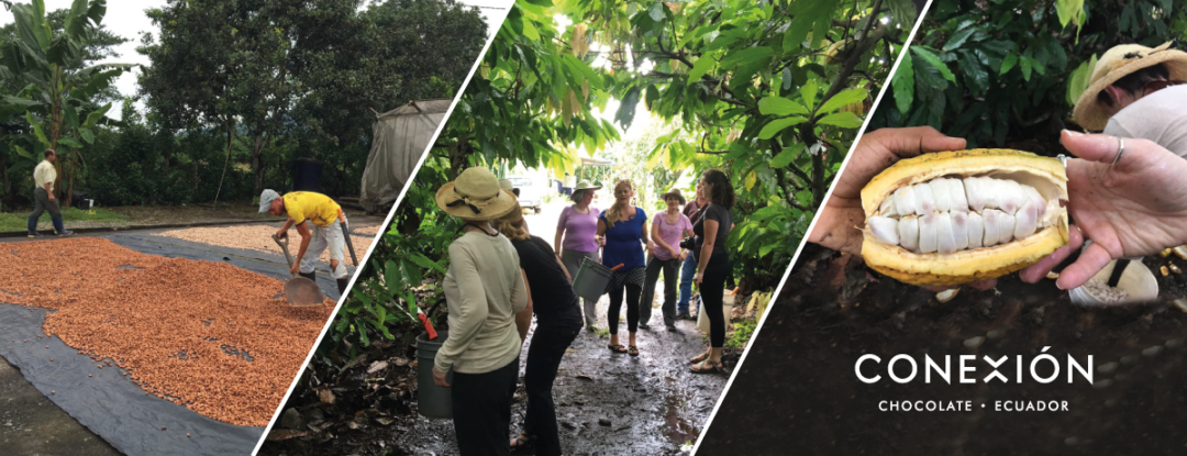 Chocolate Tour in Ecuador