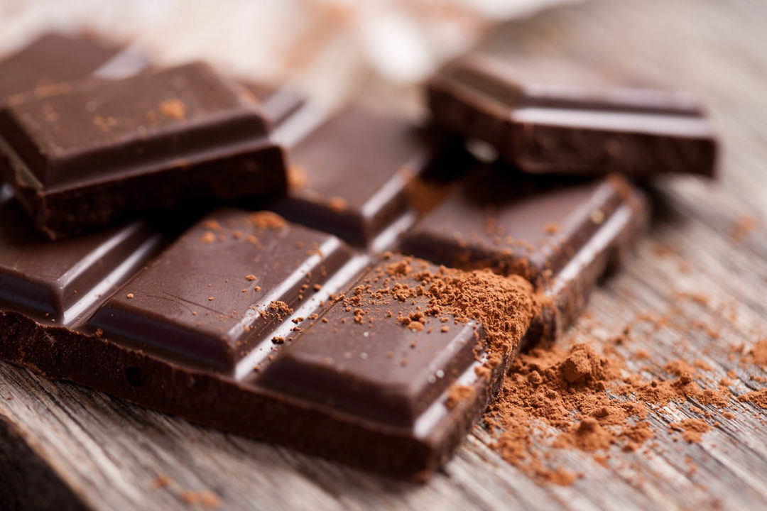 Chocolates Ecuatorianos Conexión Chocolate en Brasil