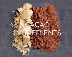 cacao ingredients including cacao butter, cocoa beans, and cacao powder